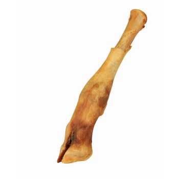 Recompensa Trixie Picior Miel Uscat Pentru Caini 16-18 cm 2740 Recompensa Trixie Picior Miel Uscat Pentru Caini 16-18 cm 2740