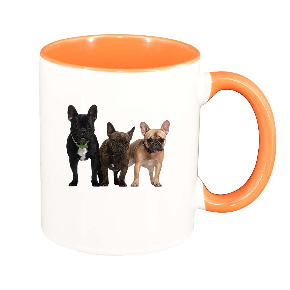 Cana Dog, interior portocaliu, 330ml, D346