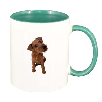 Cana Dog, interior verde, 330ml, D351 Cana Dog, interior verde, 330ml, D351