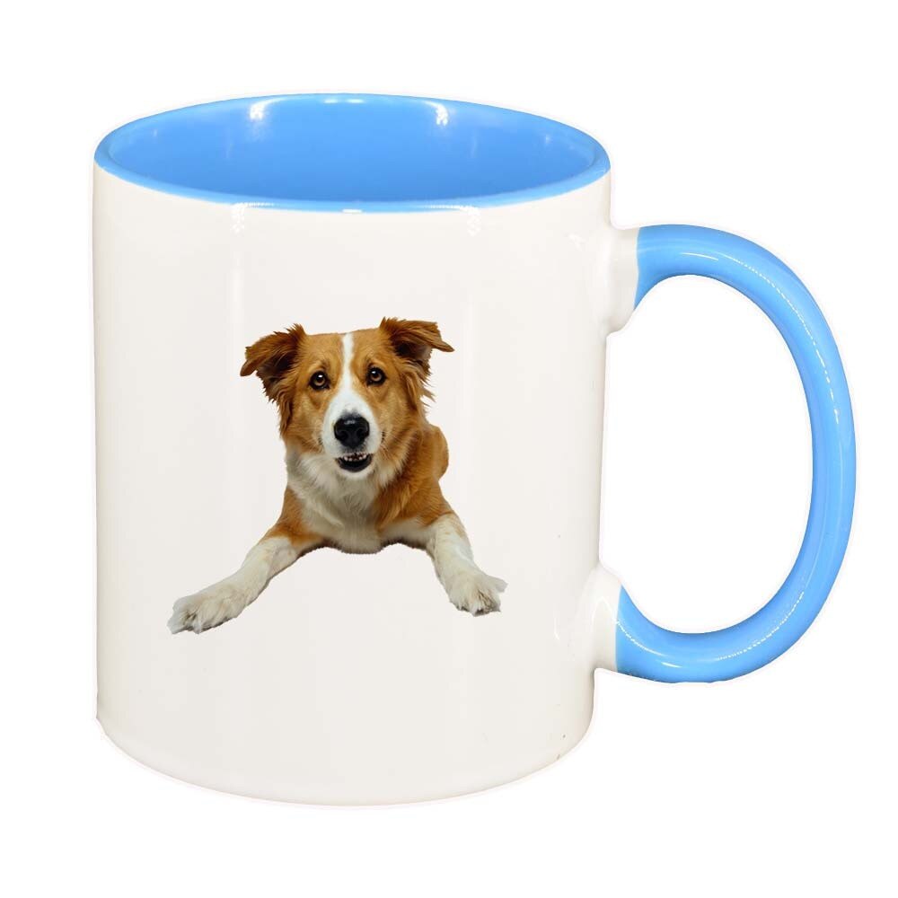 Cana Dog, interior albastru, 330ml, D352