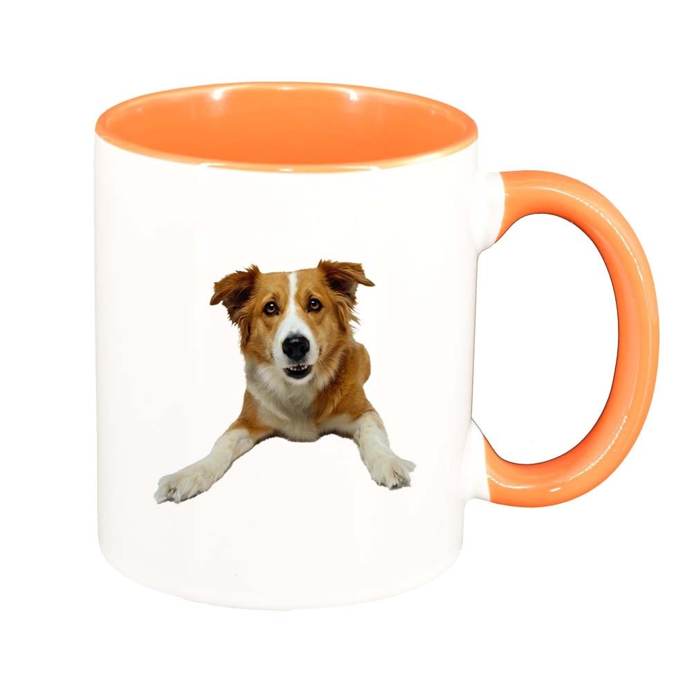 Cana Dog, interior portocaliu, 330ml, D352