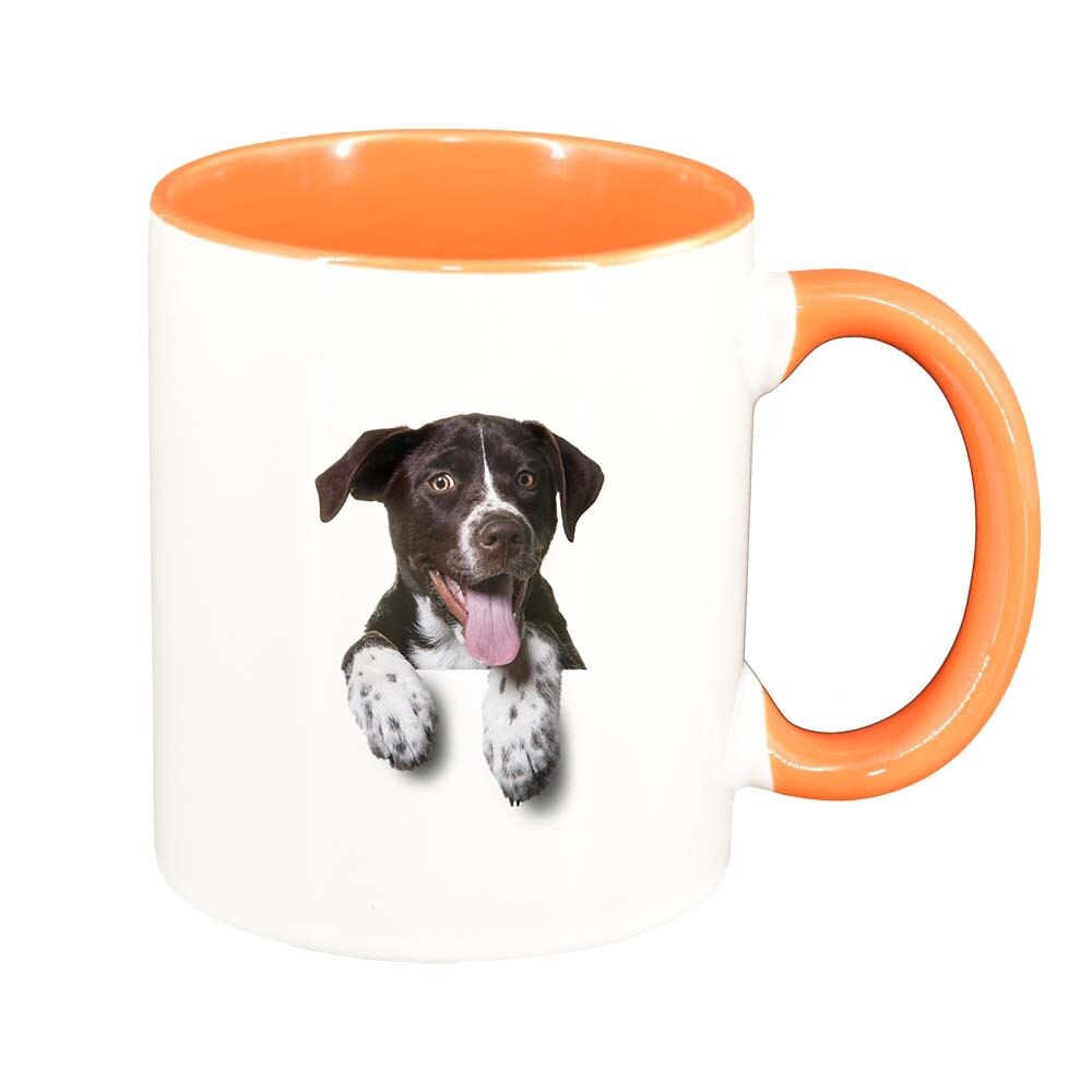 Cana Dog, interior portocaliu, 330ml, D354