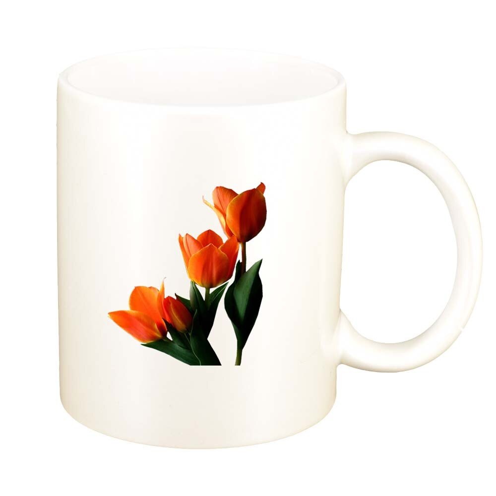 Cana Tulip, alb sidefata, 330ml, D361