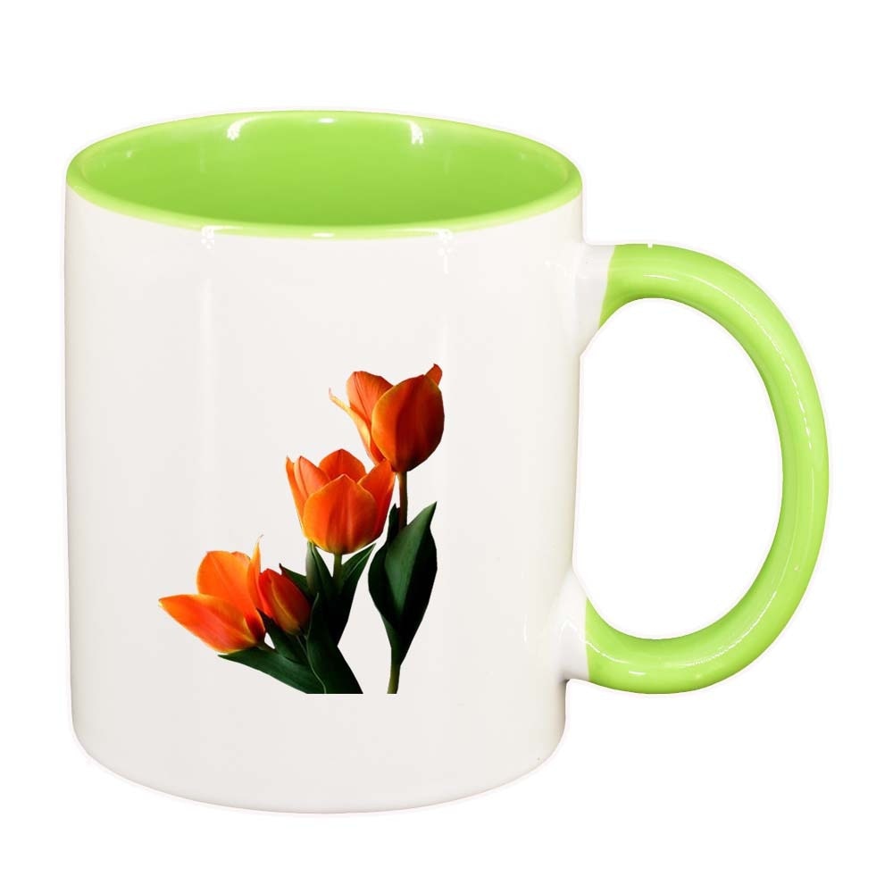 Cana Tulip, interior verde deschis, 330ml, D361