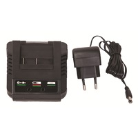 incarcator acumulator 3-5 ore18v pentru rd-gtl22 rd-htl04 r raider032122 imagen 11_0_
0