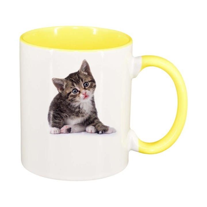 Cana Cat, interior galben, 330ml, D425