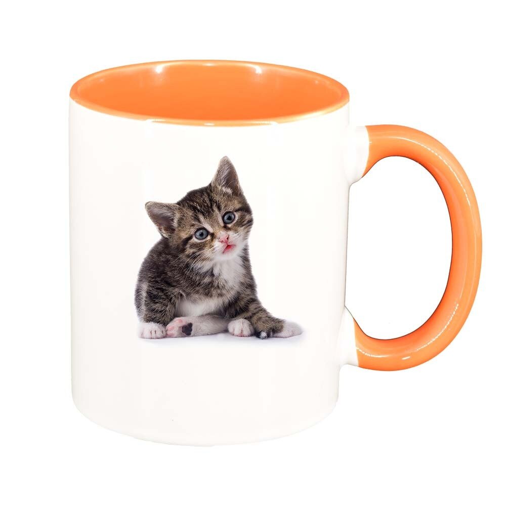 Cana Cat, interior portocaliu, 330ml, D425