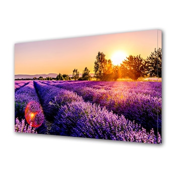 Tablou Canvas Premium Art Factory TrueColor Flori Multicolor Lavanda pe camp in lumina soarelui, Panza pe cadru de lemn, Decoratiuni Moderne pentru Casa, 20 x 30 cm Tablou Canvas Premium Art Factory TrueColor Flori Multicolor Lavanda pe camp in lumina soarelui, Panza pe cadru de lemn, Decoratiuni Moderne pentru Casa, 20 x 30 cm