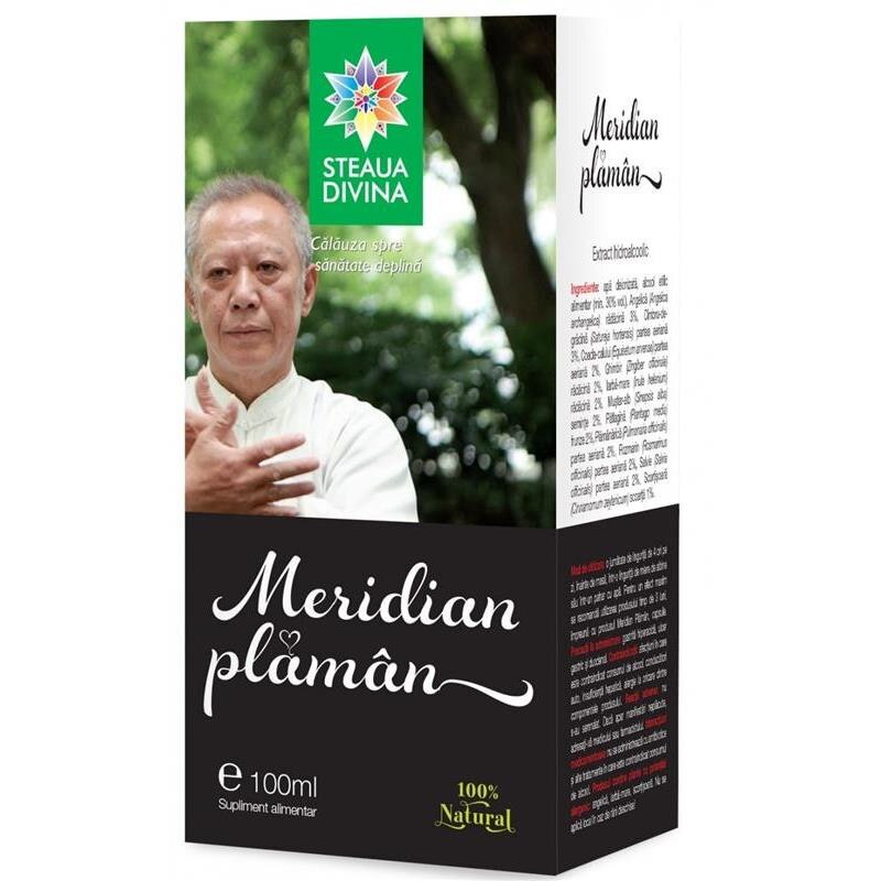 Tinctura Meridian Plaman Santo Raphael 100ml