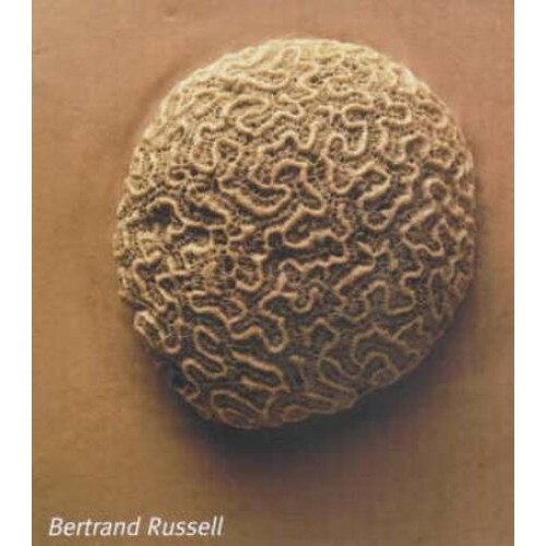 The Problems of Philosophy de Bertrand Russell