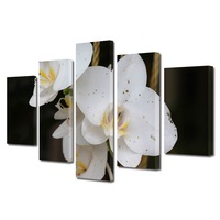 Set Tablouri Multicanvas 5 piese Premium Art Factory TrueColor Flori Multicolor Orhidee alba , Panza pe cadru de lemn, Decoratiuni Moderne pentru Casa, 60 x 100 cm