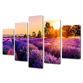 Set Tablouri Multicanvas 5 piese Premium Art Factory TrueColor Flori Multicolor Lavanda pe camp in lumina soarelui, Panza pe cadru de lemn, Decoratiuni Moderne pentru Casa, 60 x 100 cm Set Tablouri Multicanvas 5 piese Premium Art Factory TrueColor Flori Multicolor Lavanda pe camp in lumina soarelui, Panza pe cadru de lemn, Decoratiuni Moderne pentru Casa, 60 x 100 cm