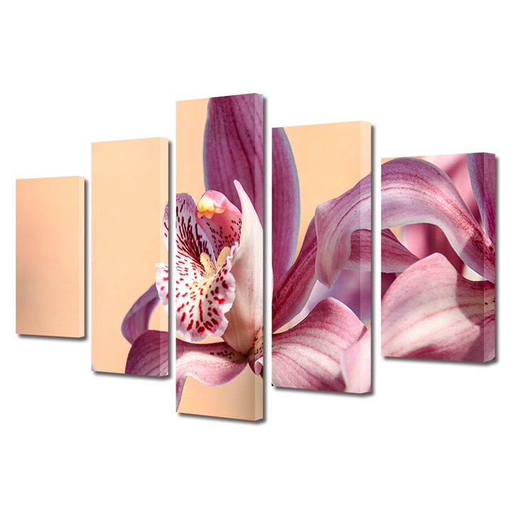 Set Tablouri Multicanvas 5 piese Premium Art Factory TrueColor Flori Multicolor Compozitie orhidee in culori calde, Panza pe cadru de lemn, Decoratiuni Moderne pentru Casa, 60 x 100 cm