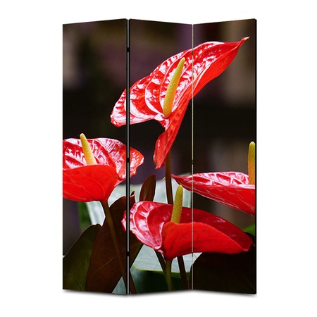 Paravan 3 Piese Premium Art Factory Truecolor Flori Multicolor Cala Rosie Decoratiuni Moderne Pentru Casa 105 X 180 Cm 3 Panouri X 35 X 180 Cm Emag Ro