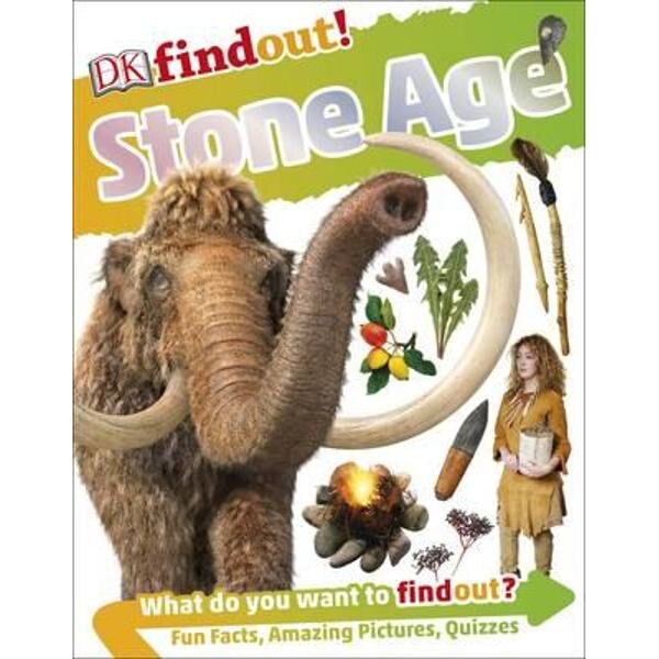 Stone Age