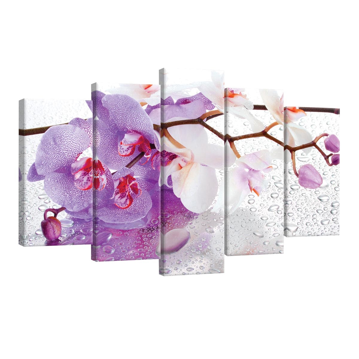 Set Tablouri DEGRETS 78449 Canvas, 60 x 100 cm, 5 piese (2x40x20 cm, 2x50x20 cm, 1x60x20 cm), Stropi de Orhidee