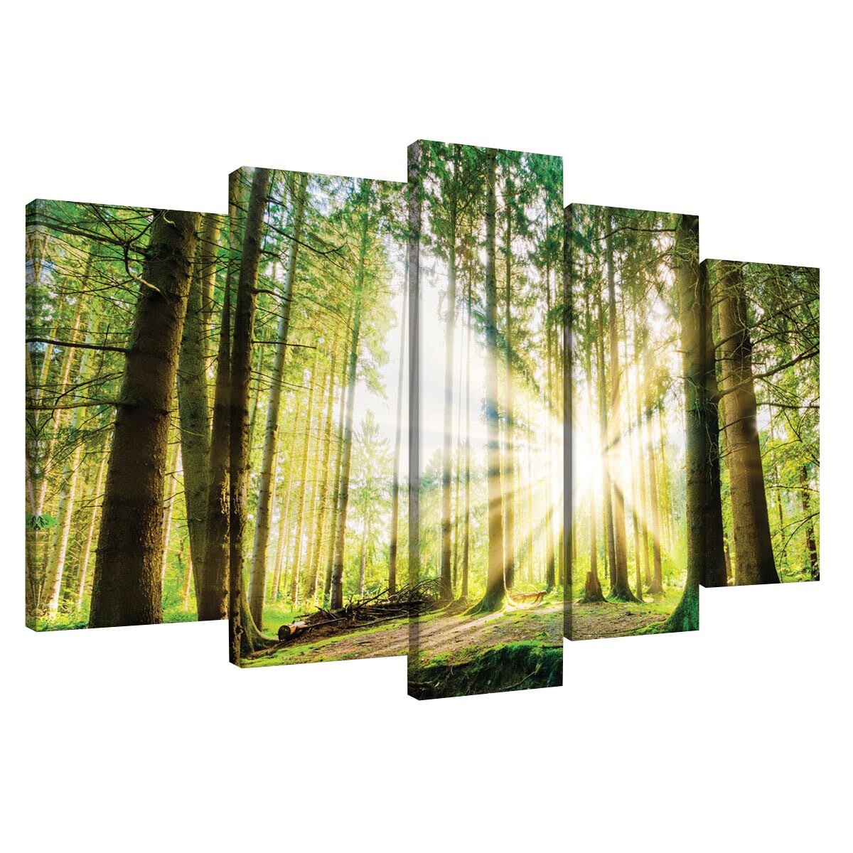 Set Tablouri DEGRETS 78458 Canvas, 60 x 100 cm, 5 piese (2x40x20 cm, 2x50x20 cm, 1x60x20 cm), Padure 2