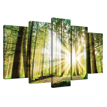 Set Tablouri DEGRETS 78458 Canvas, 60 x 100 cm, 5 piese (2x40x20 cm, 2x50x20 cm, 1x60x20 cm), Padure 2 Set Tablouri DEGRETS 78458 Canvas, 60 x 100 cm, 5 piese (2x40x20 cm, 2x50x20 cm, 1x60x20 cm), Padure 2