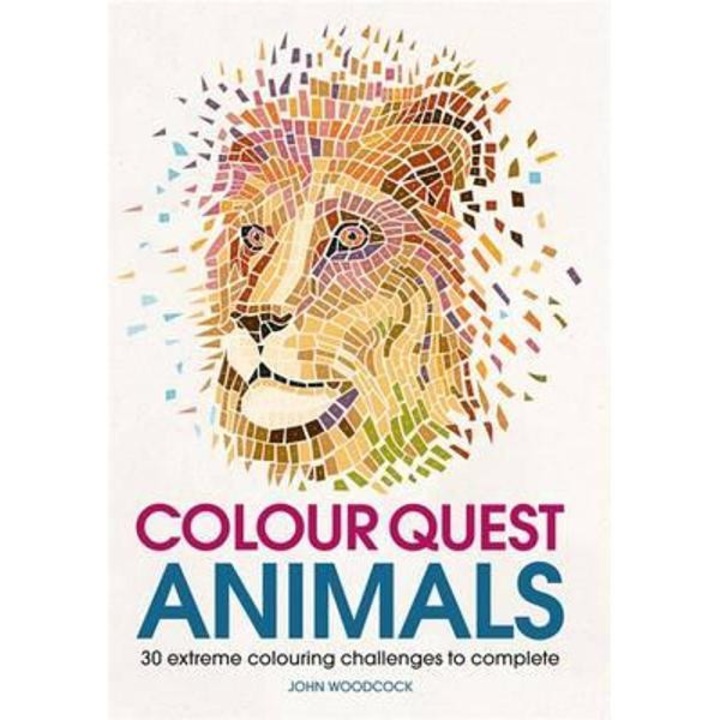 Colour Quest Animals