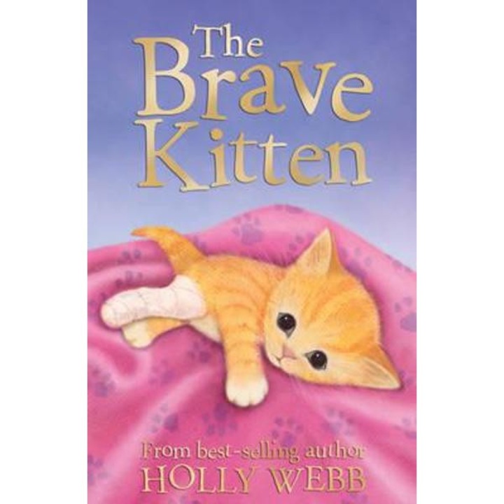 Brave Kitten