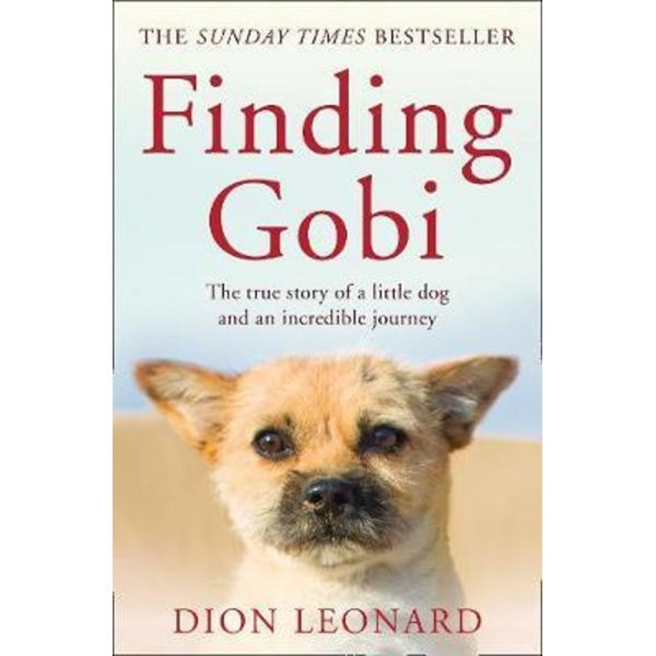 Finding Gobi (Main edition)
