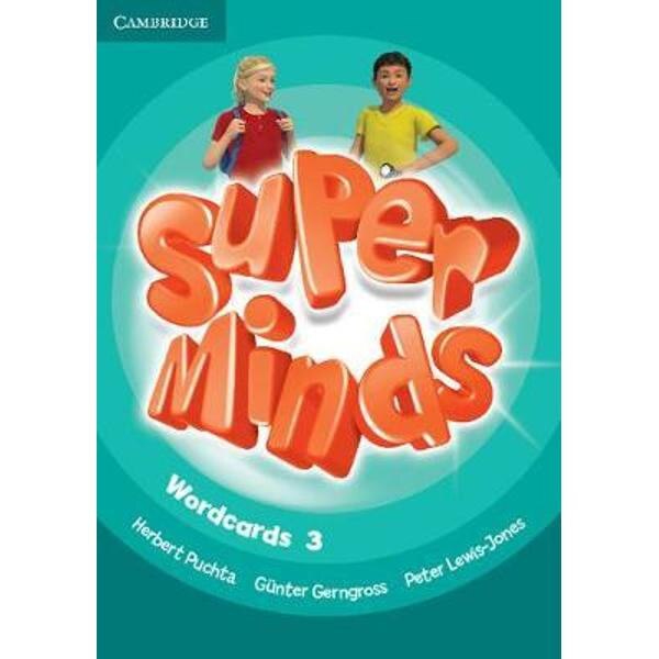 Super Minds Level 3 Wordcards (Pack of 83)