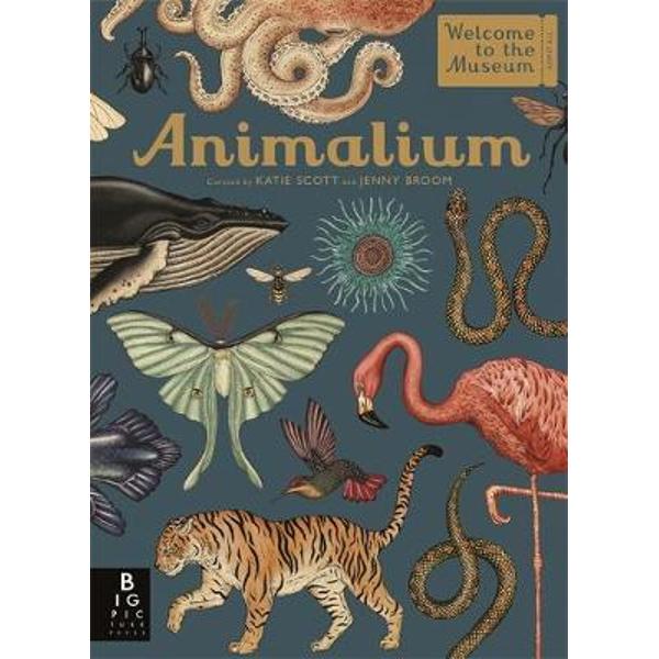 Animalium