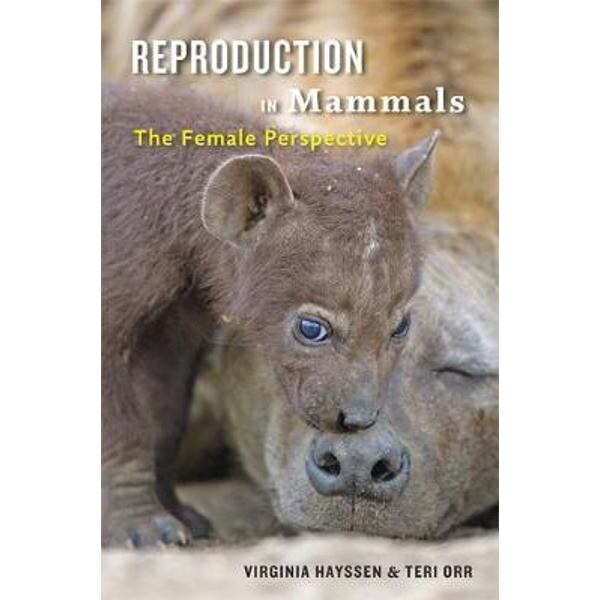 Reproduction in Mammals