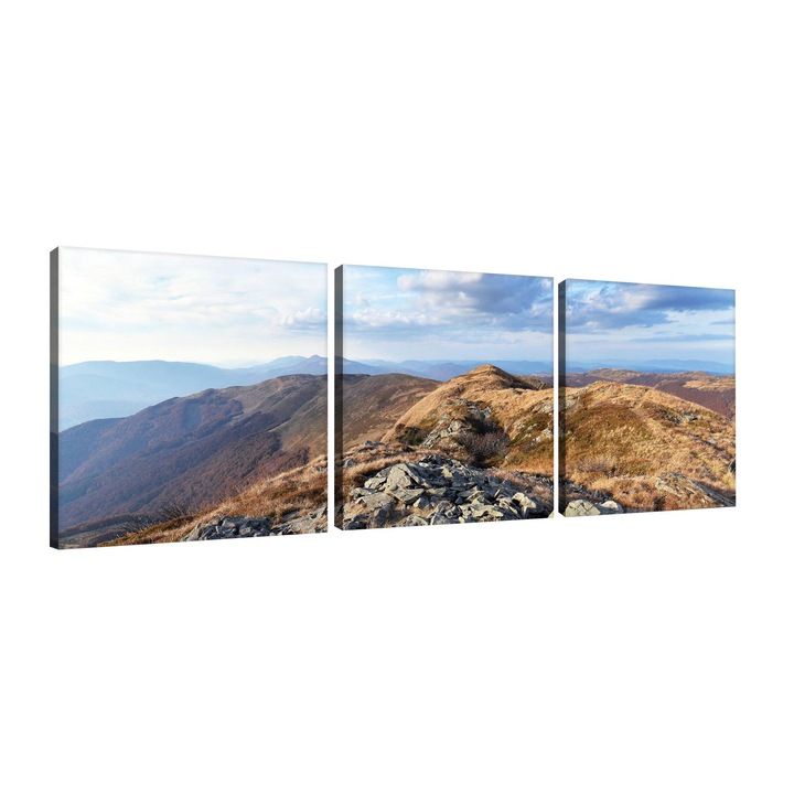 Set Tablouri DEGRETS 78405 Canvas, 25 x 75 cm, 3 piese (3x25x25 cm), Natura 3