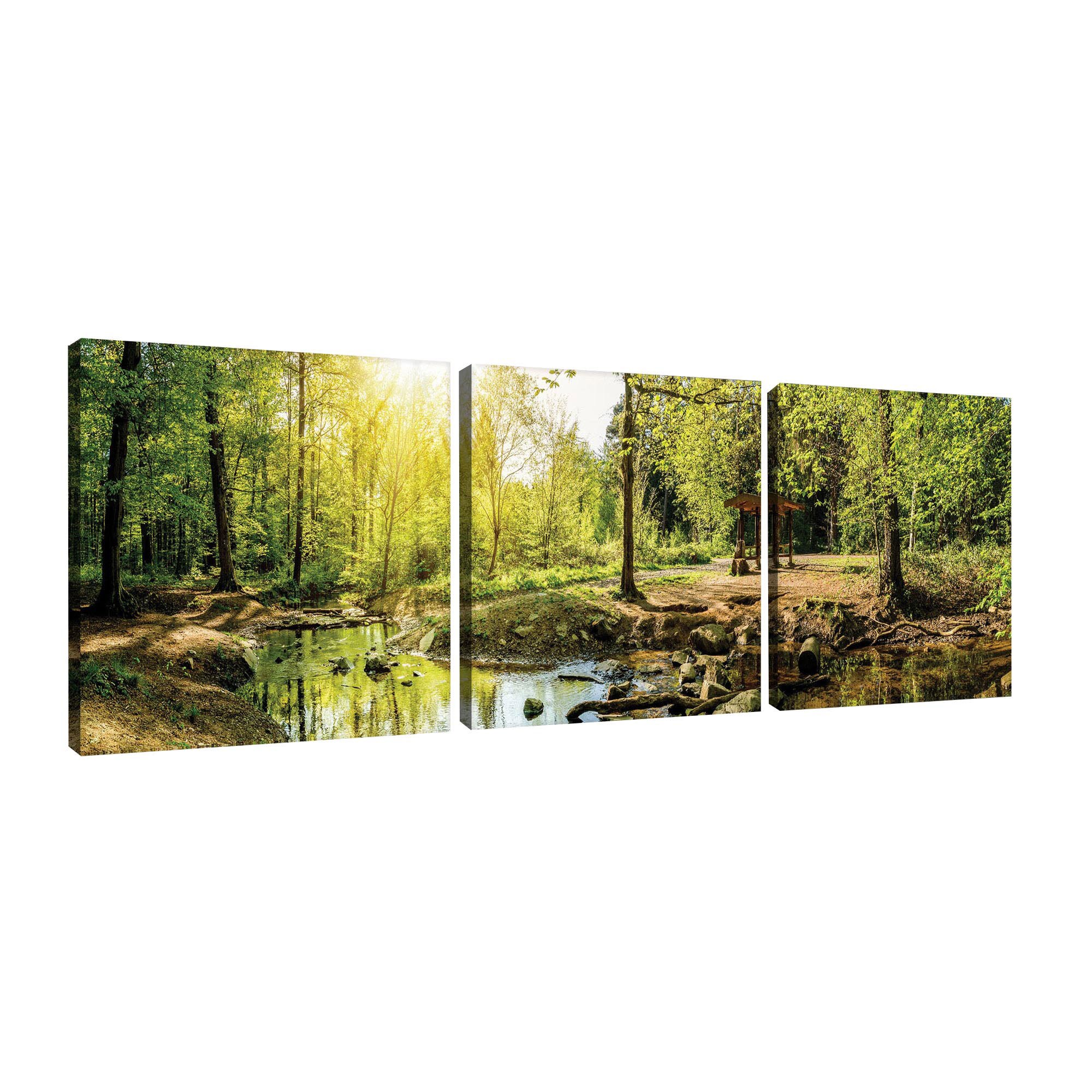 Set Tablouri DEGRETS 78404 Canvas, 25 x 75 cm, 3 piese (3x25x25 cm), Padure verde