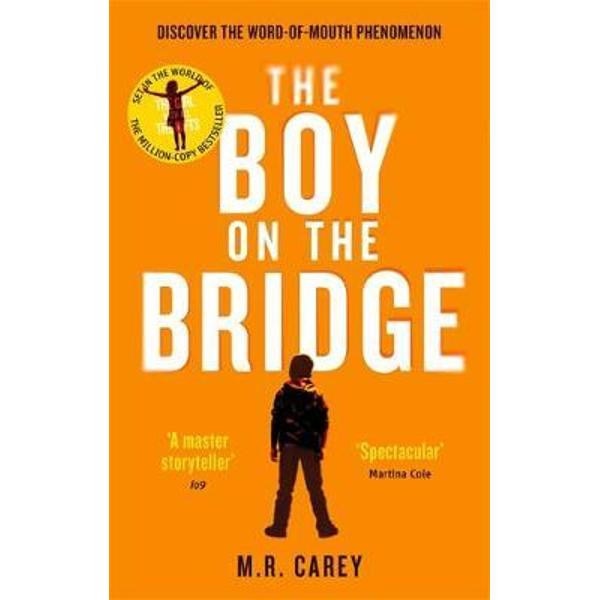 Boy on the Bridge