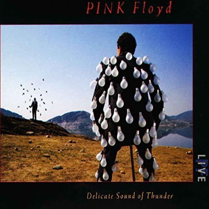 Pink Floyd - Delicate Sound Of Thunder [box] (2cd)