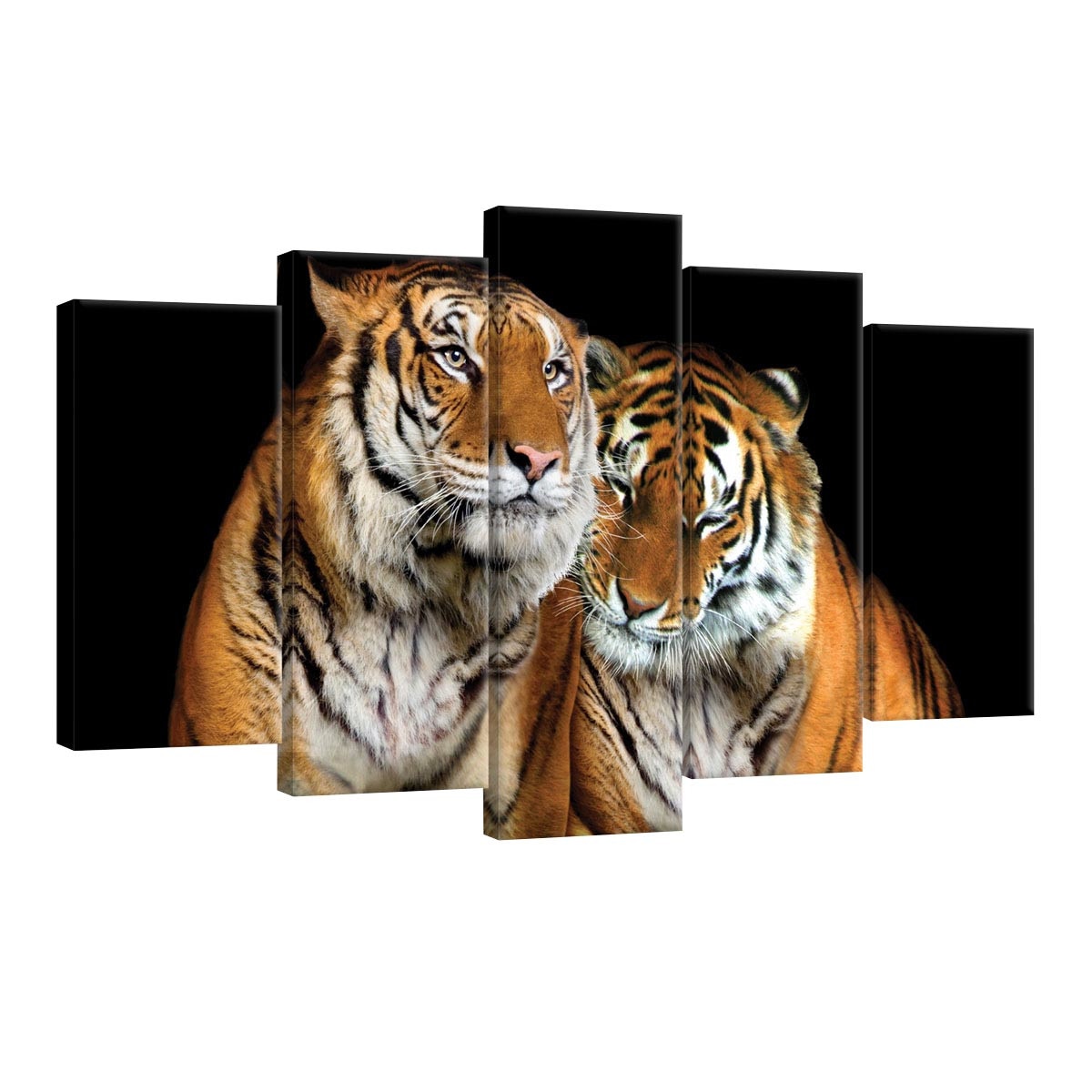 Set Tablouri DEGRETS 78537 Canvas, 60 x 100 cm, 5 piese (2x40x20 cm, 2x50x20 cm, 1x60x20 cm), Tigru