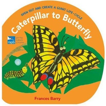 Caterpillar to Butterfly Caterpillar to Butterfly