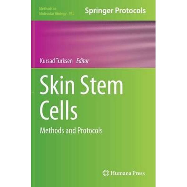 Skin Stem Cells