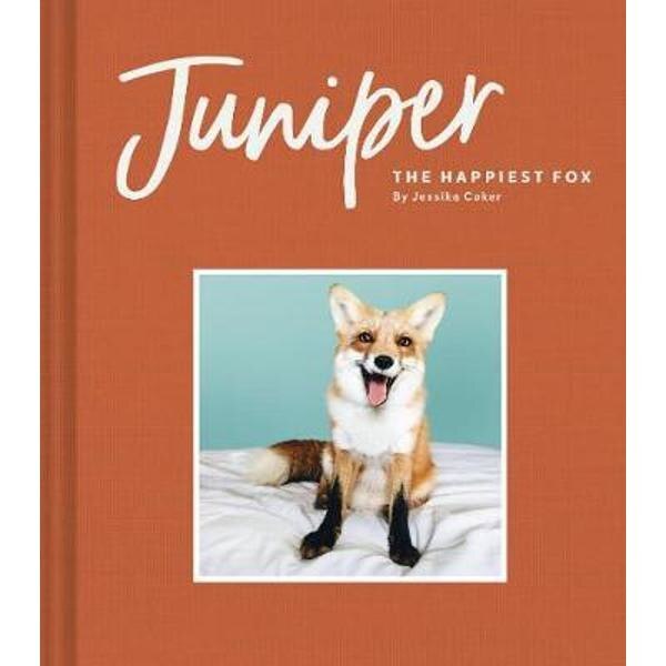 Juniper: The Happiest Fox