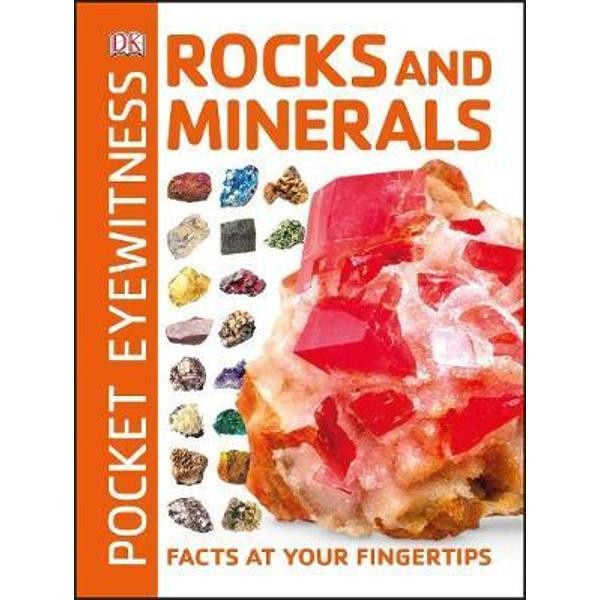Pocket Eyewitness Rocks and Minerals