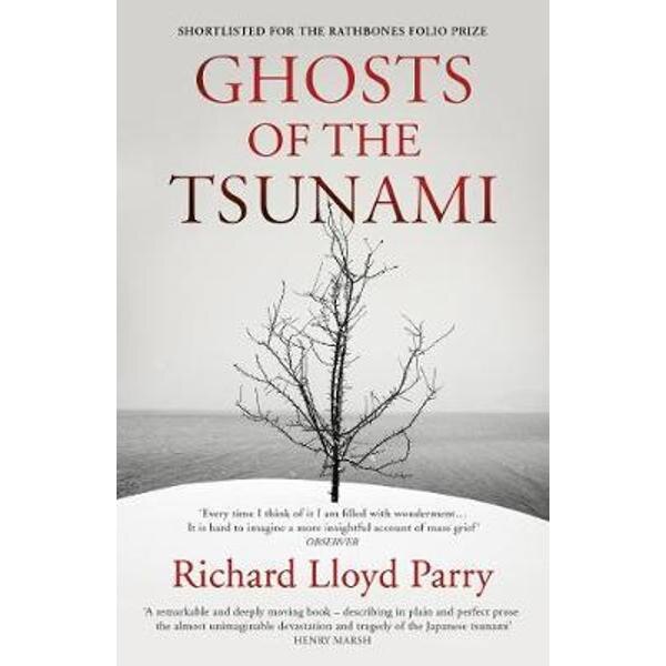 Ghosts of the Tsunami