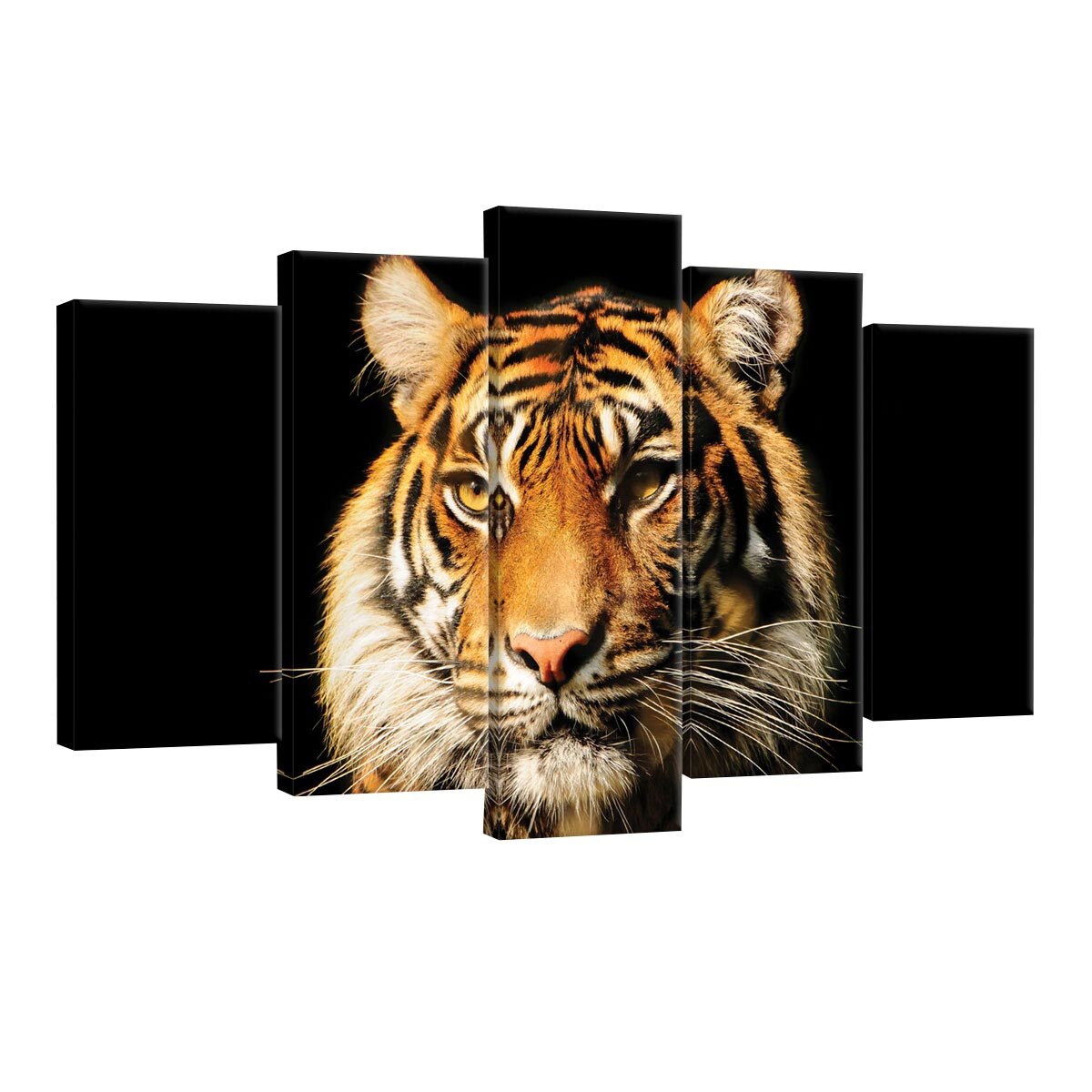 Set Tablouri DEGRETS 78545 Canvas, 60 x 100 cm, 5 piese (2x40x20 cm, 2x50x20 cm, 1x60x20 cm), Tigru 2 3D