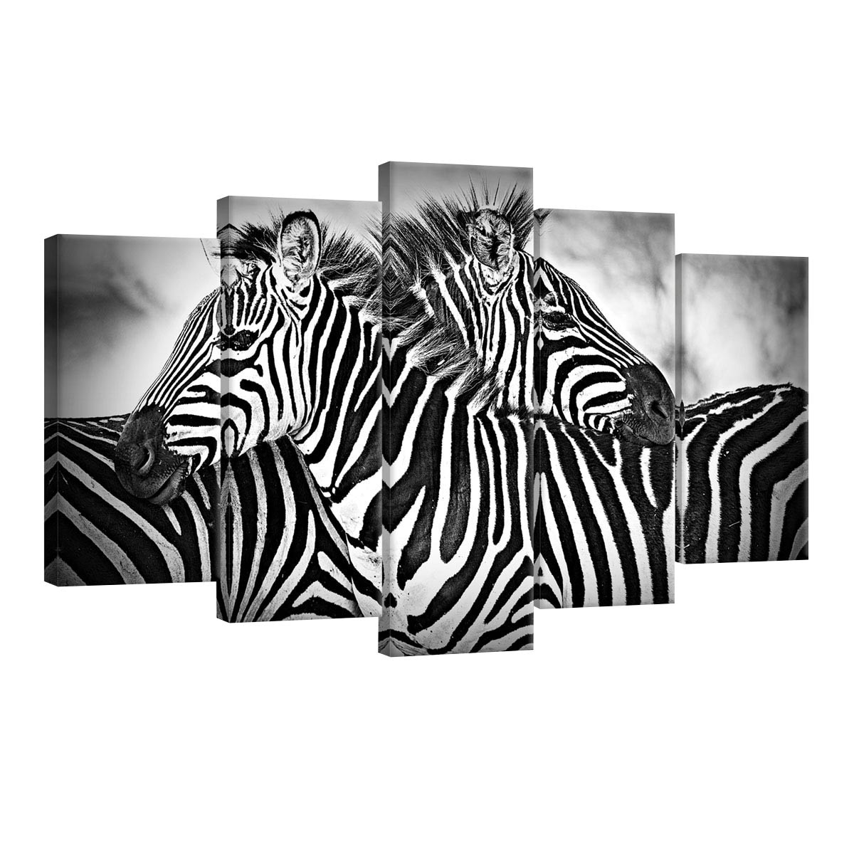 Set Tablouri DEGRETS 78577 Canvas, 60 x 100 cm, 5 piese (2x40x20 cm, 2x50x20 cm, 1x60x20 cm), Zebra alb si negru