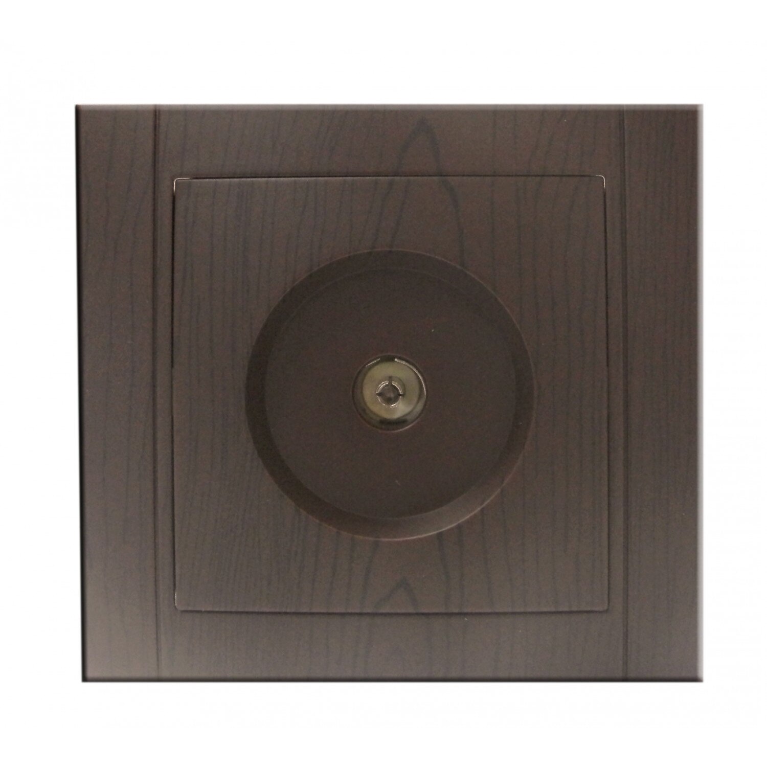 Priza R-TV, rama inclusa, culoare stejar