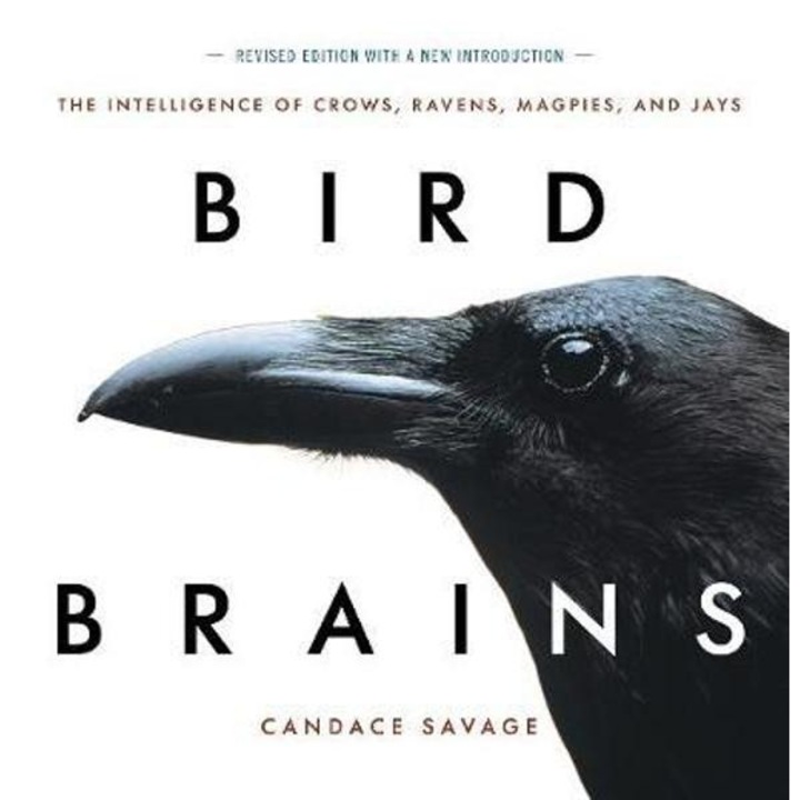 Bird Brains