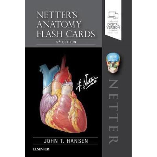Netter's Anatomy Flash Cards