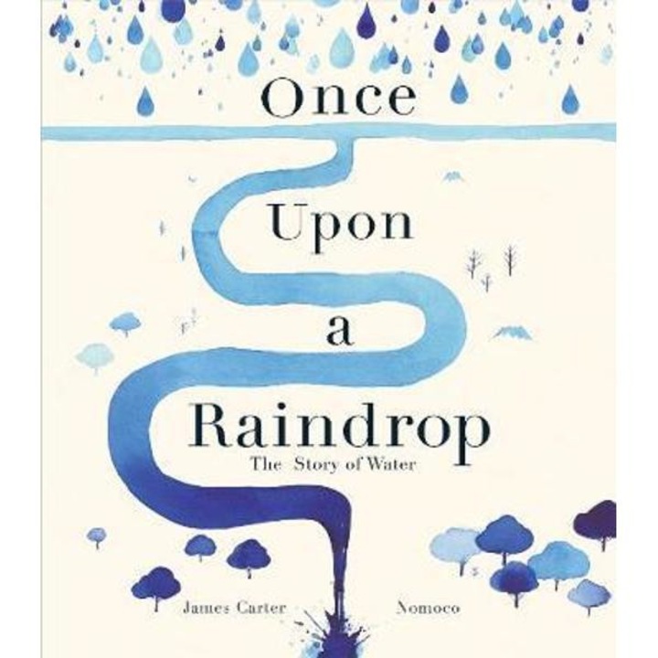 Once Upon a Raindrop