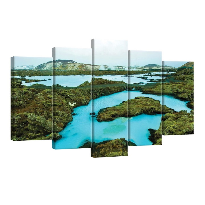 Set Tablouri DEGRETS 78582 Canvas, 60 x 100 cm, 5 piese (2x40x20 cm, 2x50x20 cm, 1x60x20 cm), Natura 2