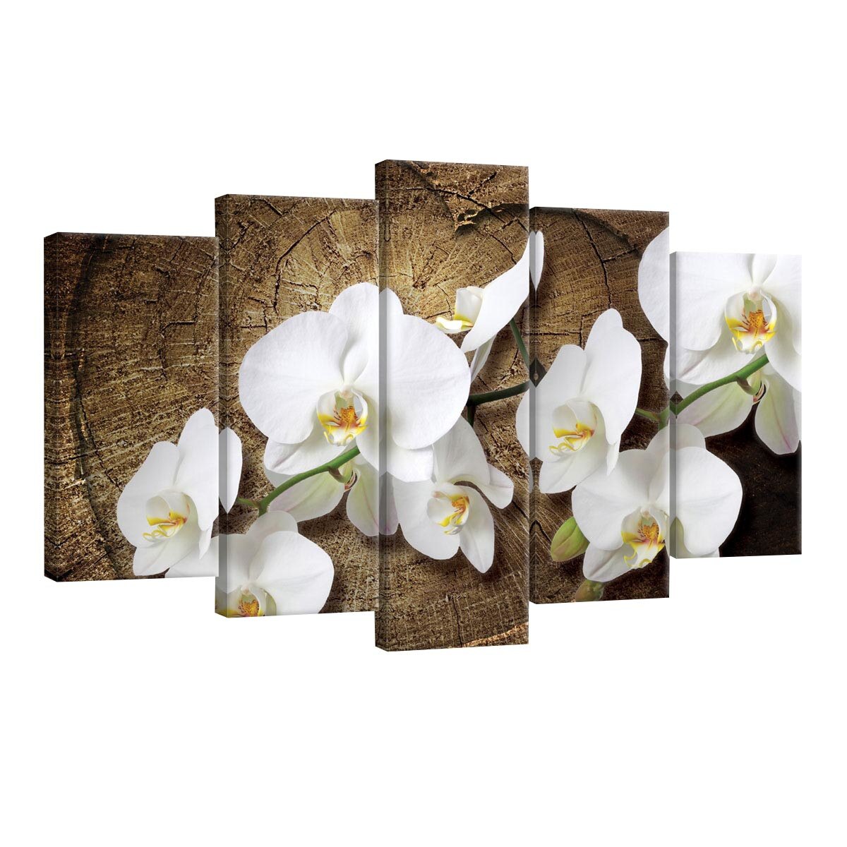 Set Tablouri DEGRETS 78584 Canvas, 60 x 100 cm, 5 piese (2x40x20 cm, 2x50x20 cm, 1x60x20 cm), Orhidee alba