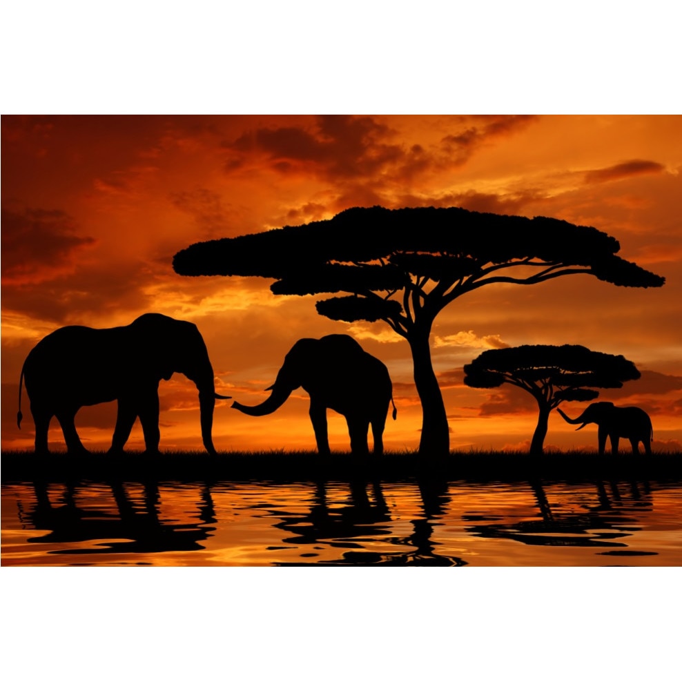 Tablou canvas Elefanti 2, 60 x 40 cm