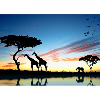 Tablou canvas Girafe 1, 45 x 30 cm Tablou canvas Girafe 1, 45 x 30 cm