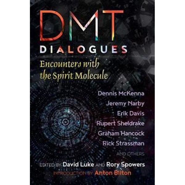DMT Dialogues