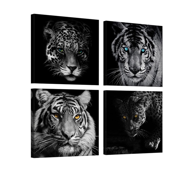 Set Tablouri DEGRETS 78596 Canvas, 50 x 50 cm, 4 piese (4x25x25 cm), Predatori